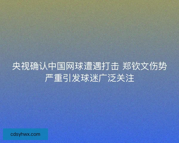 央视确认中国网球遭遇打击 郑钦文伤势严重引发球迷广泛关注